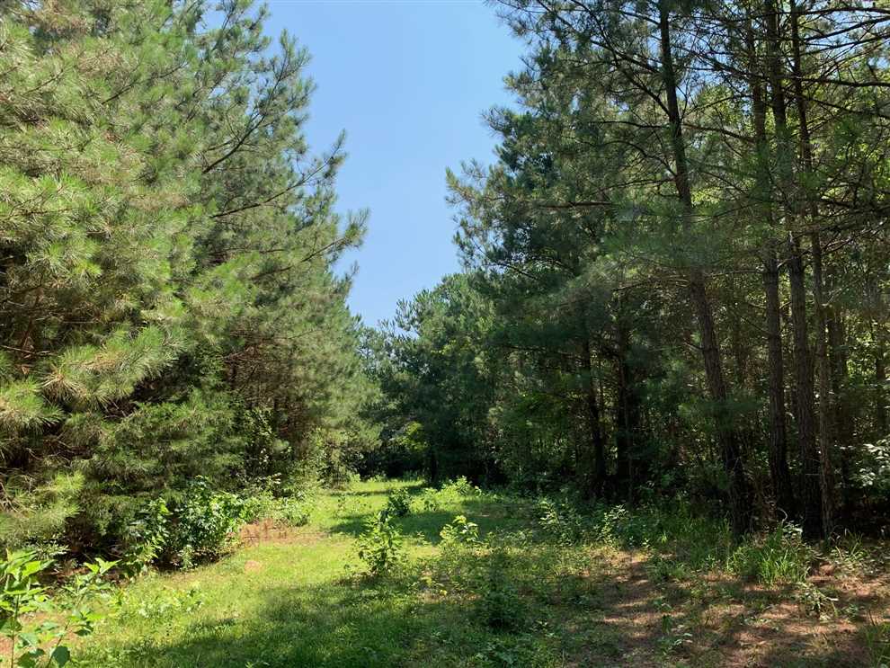 Houses and land for sale in Louisiana