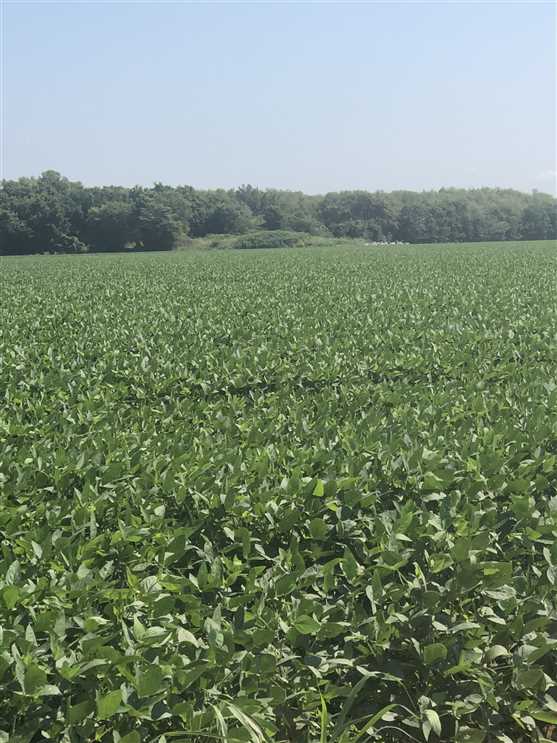 Property for sale at highway 367