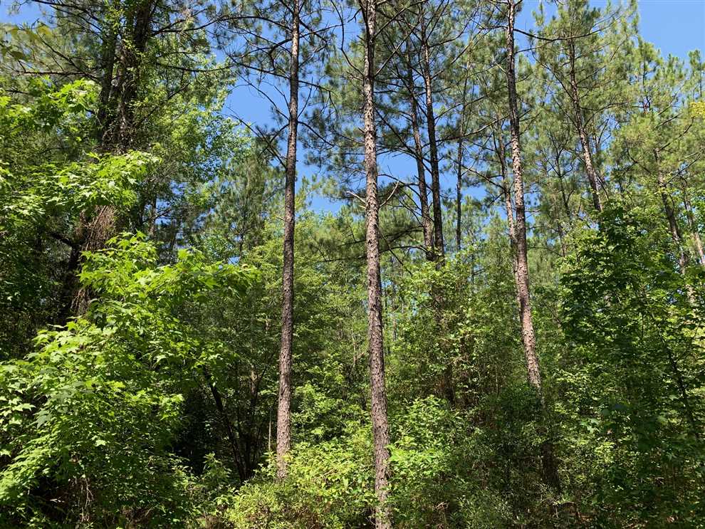 Land for sale at