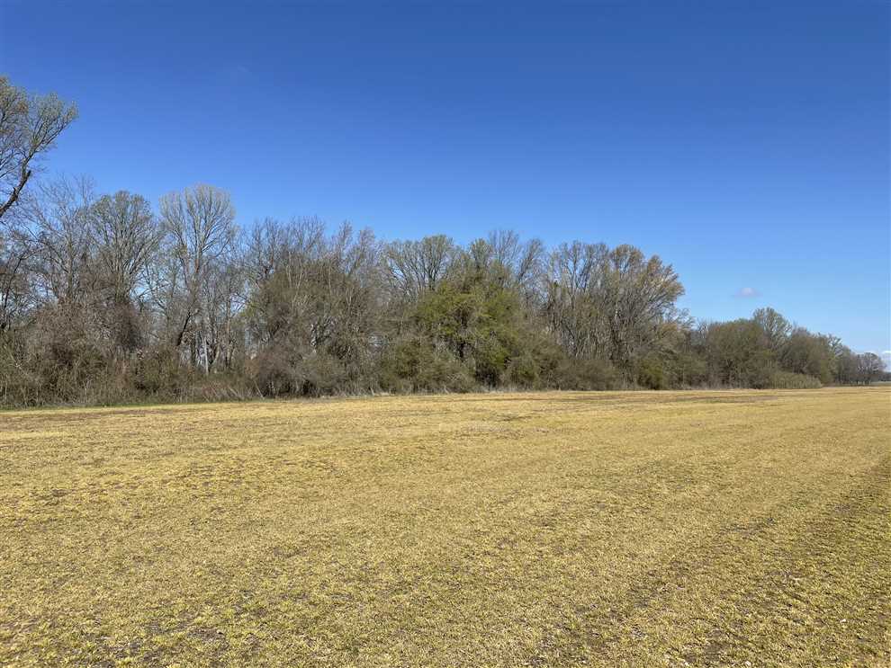 Quitman County Farmland 70 Real estate listing