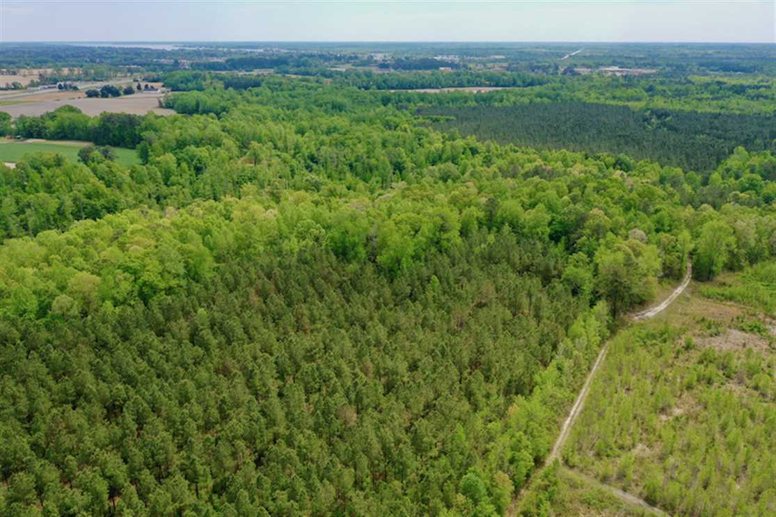 Recreational and   property for sale on The Land Market