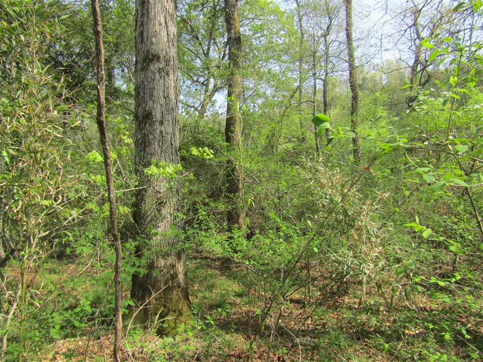 Land for sale to buy in 74549 zip code