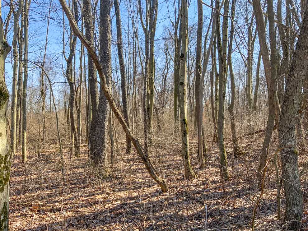 204 Acres of Recreational land for sale in Greensburg, westmoreland County, Pennsylvania