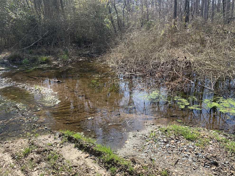 Houses and land for sale in North Carolina