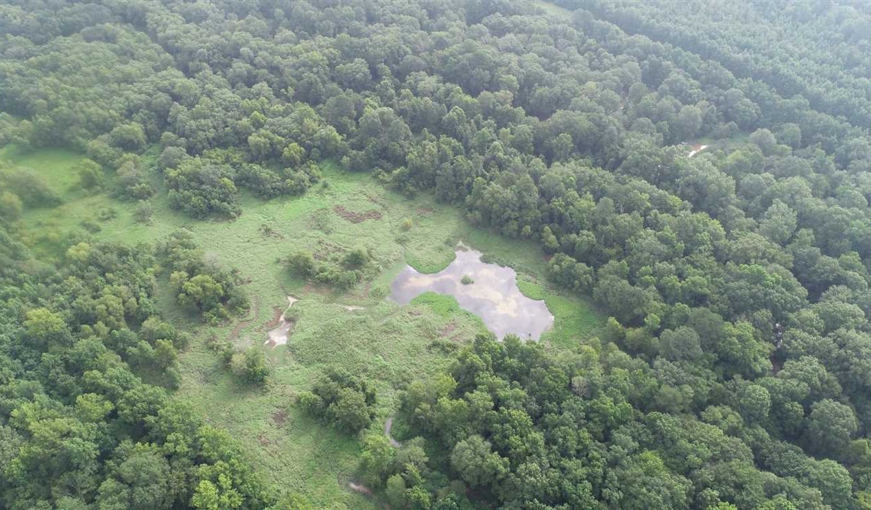 Days Creek Hunting Property, Miller County, AR, 718 Acres +/- Real estate listing