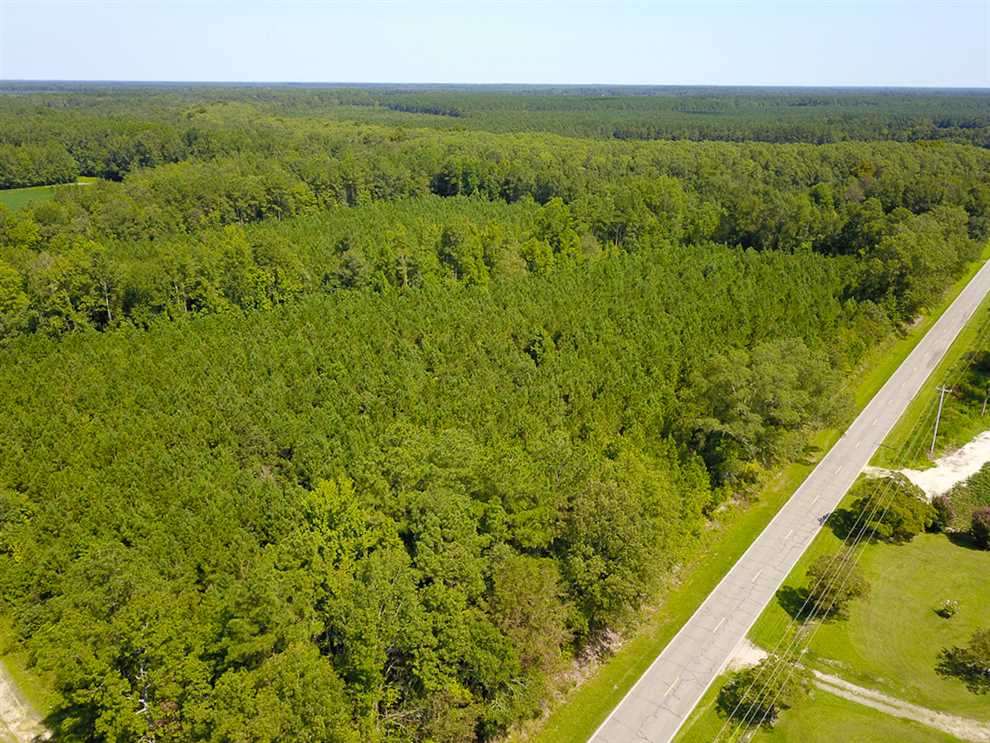 Property for sale at 601 NC Hwy 11 N