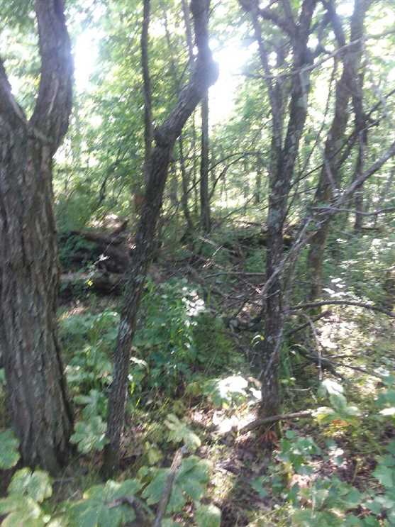 20 Acres of Recreational land for sale in Marshall, searcy County, Arkansas