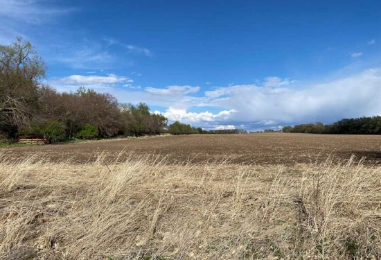325.12 Acres of Land for Sale in antelope County Nebraska