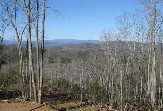 69 Acres of Land for Sale in cherokee County North Carolina