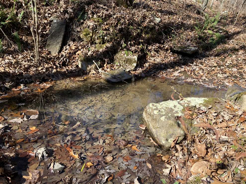 60 Acres of Residential land for sale in Clinton, van buren County, Arkansas