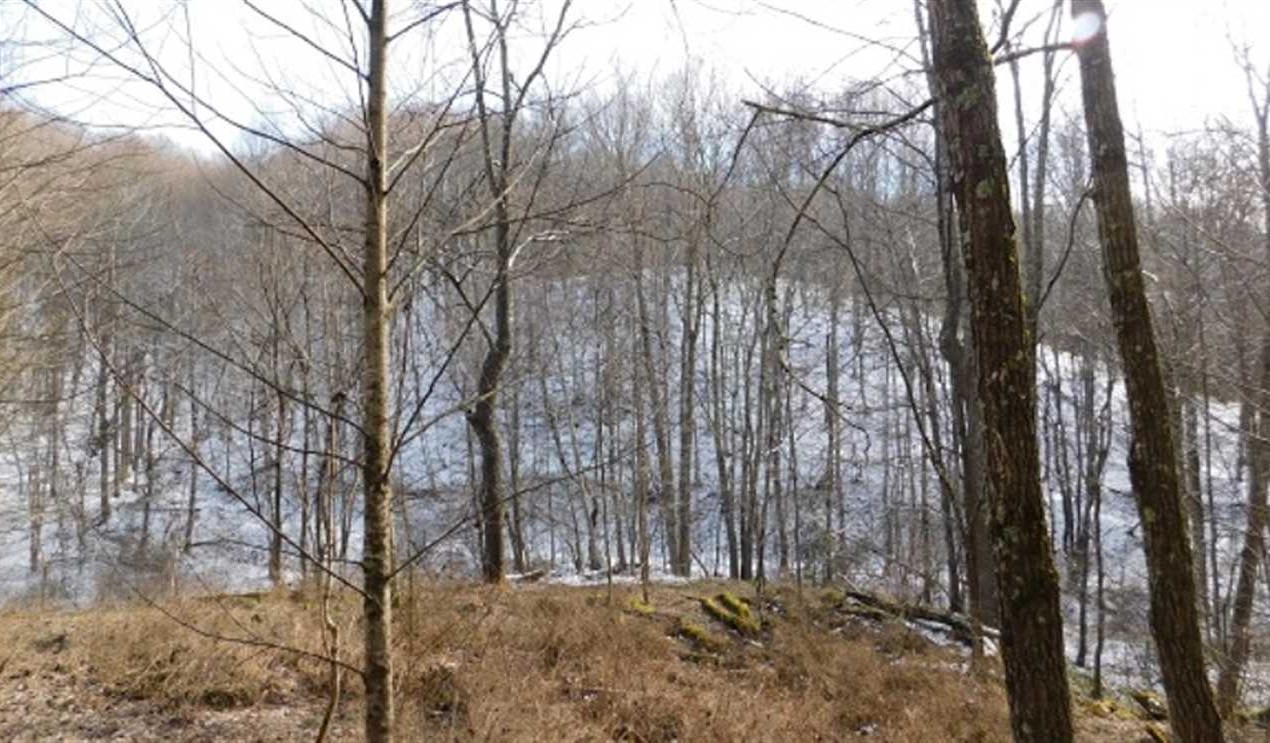 property for sale on The Land Market