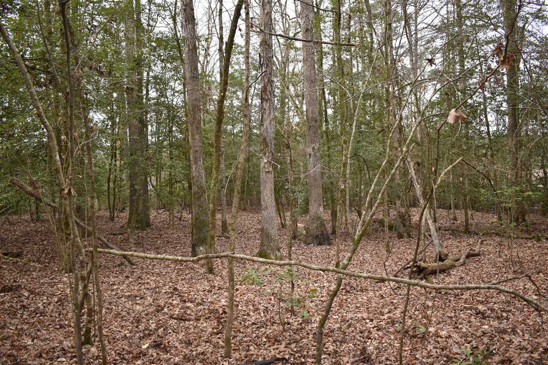 property for sale on The Land Market