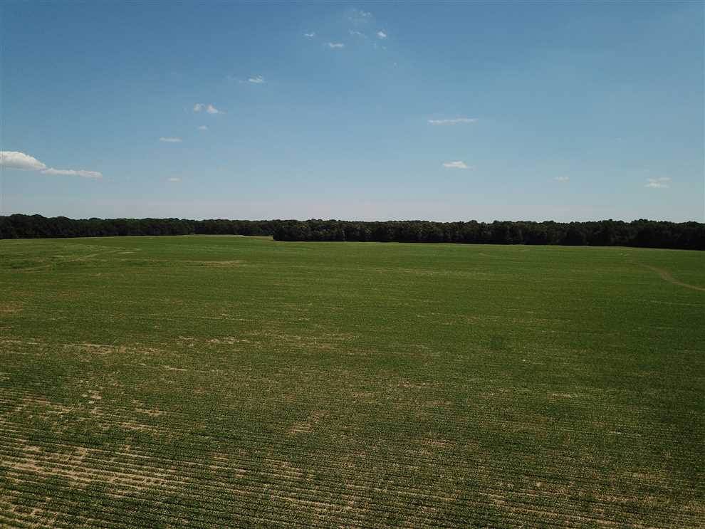 90 Acres of Land for sale in arkansas County, Arkansas