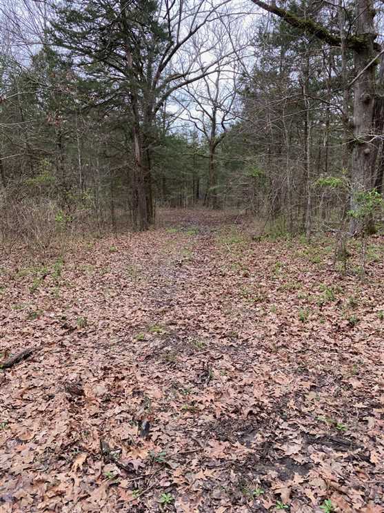 Land for sale to buy in 38801 zip code