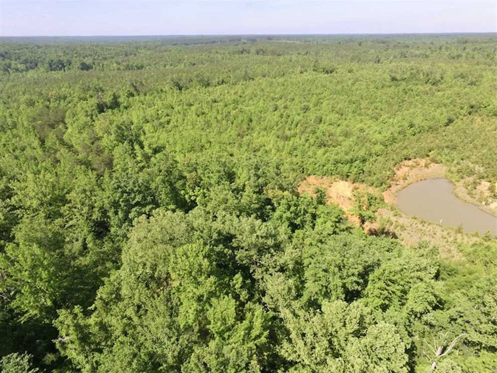 lunenburg County, Virginia property for sale