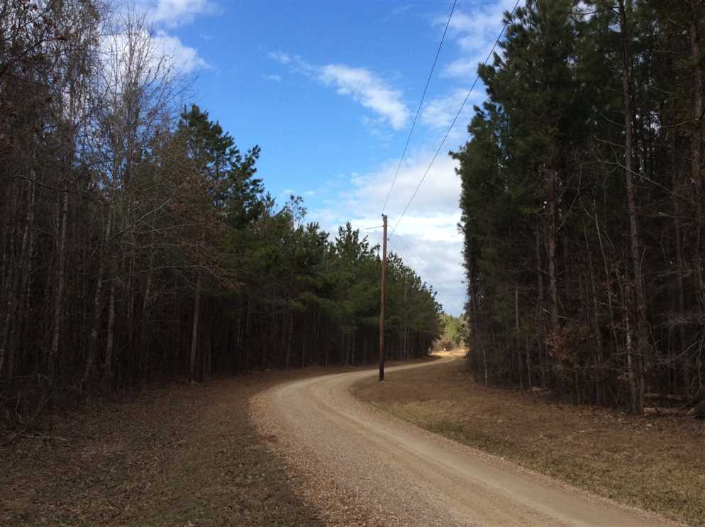 Timberland real estate available to buy