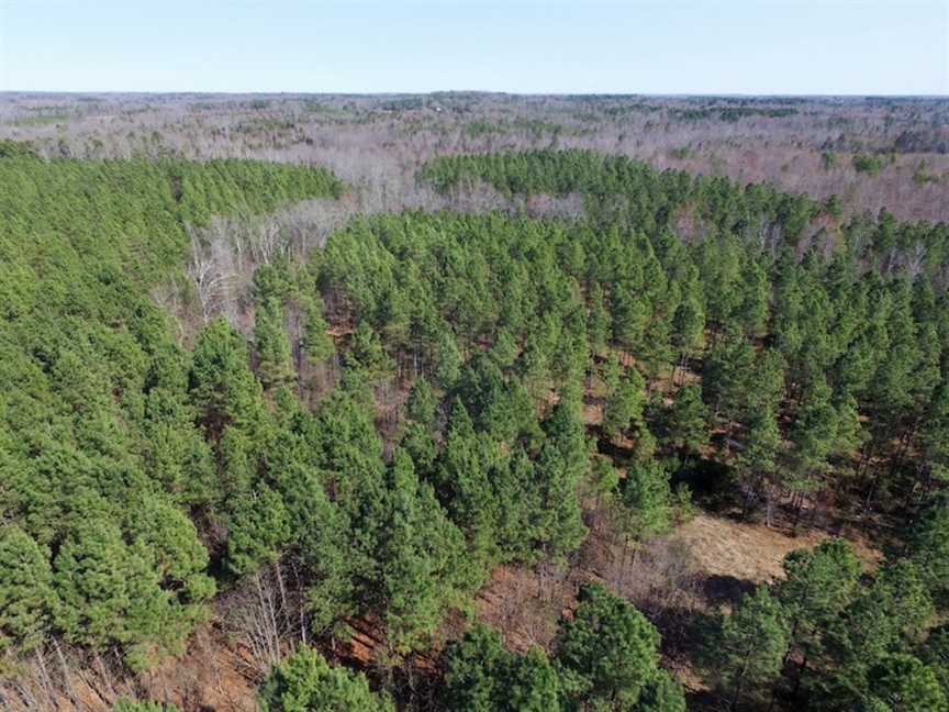 45.55 Acres of Recreational Land For Sale in Mecklenburg Co VA! Real estate listing