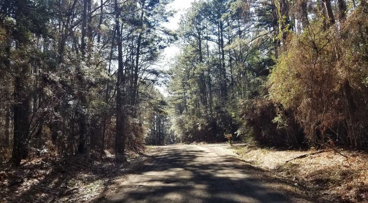 Timberland real estate available to buy
