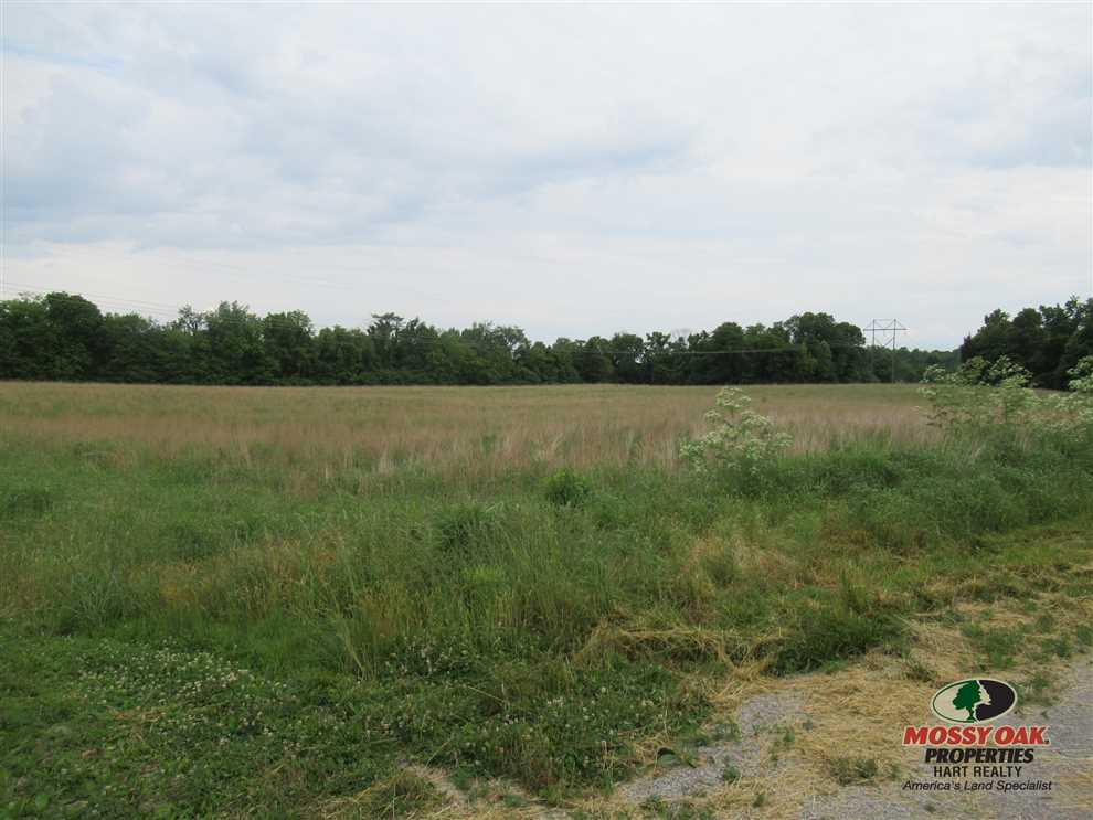 property for sale on The Land Market