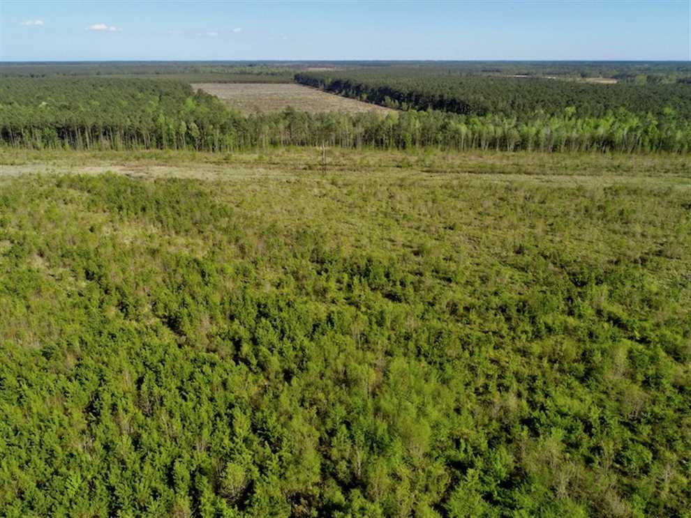 property for sale on The Land Market