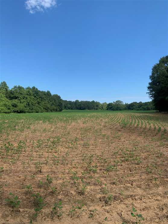 160 Acres of Recreational land for sale in Nettleton, itawamba County, Mississippi