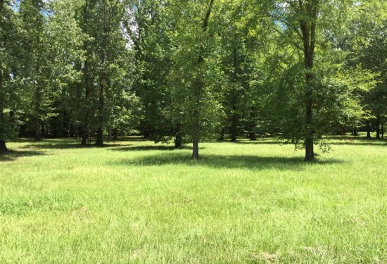 2.68 Acres of Land for Sale in union County Louisiana