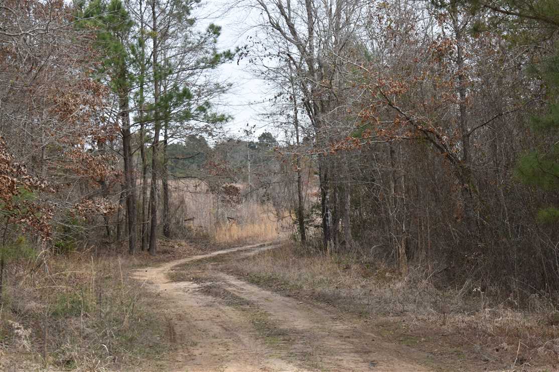 nevada County, Arkansas property for sale