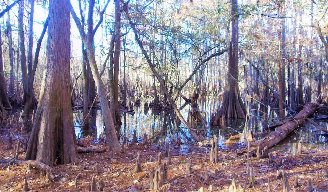 Land for sale at
