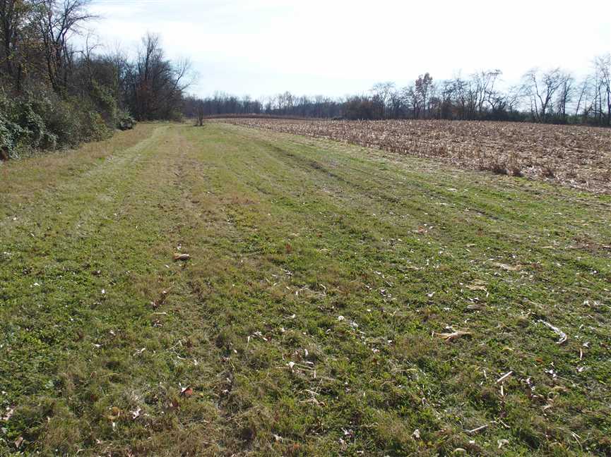 9.67 Acres of Land for sale in hamilton County, Indiana