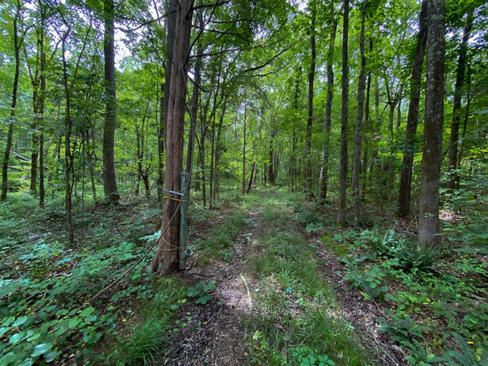 Residential and   property for sale on The Land Market