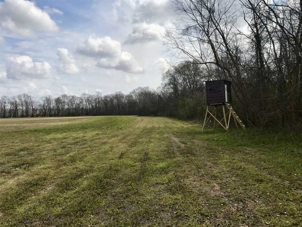 Property for sale at