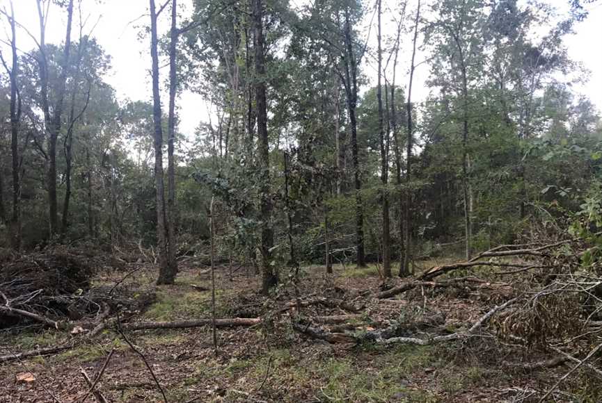 Land for sale to buy in 71263 zip code