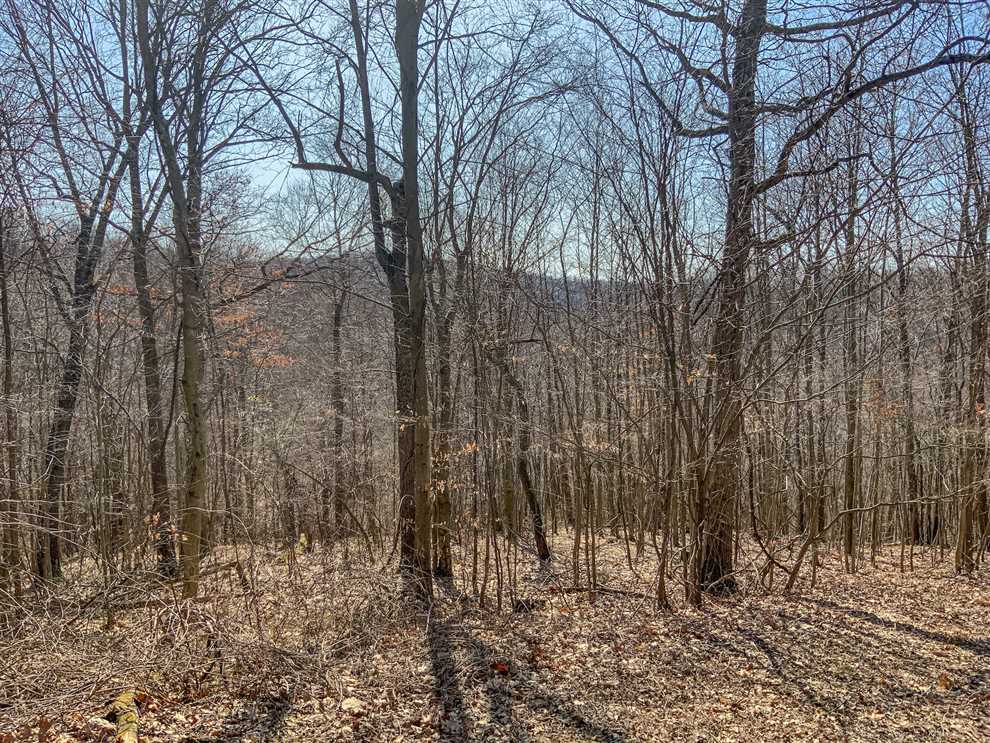 204 Acres of Land for sale in westmoreland County, Pennsylvania