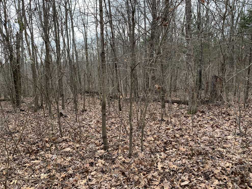 jackson County, Arkansas property for sale