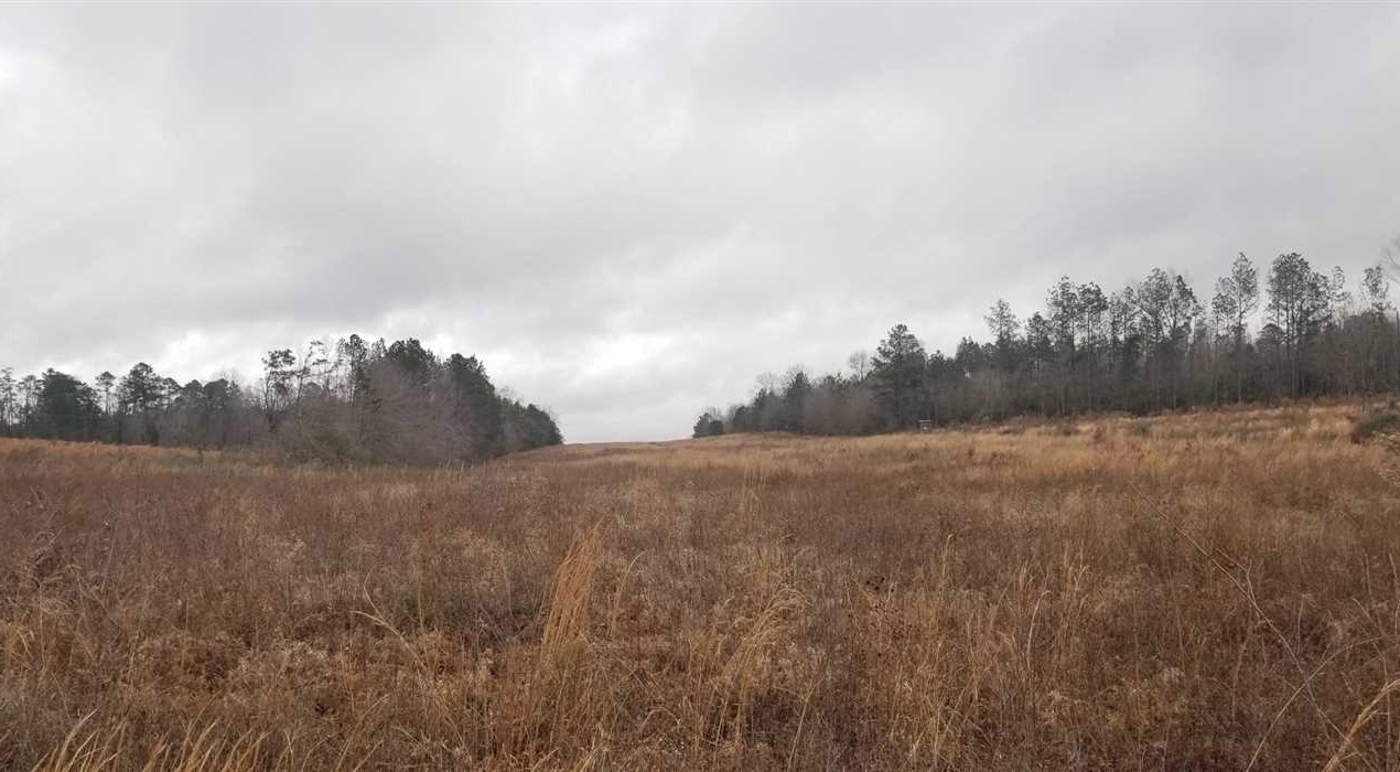 40 Acres of Land for sale in winn County, Louisiana