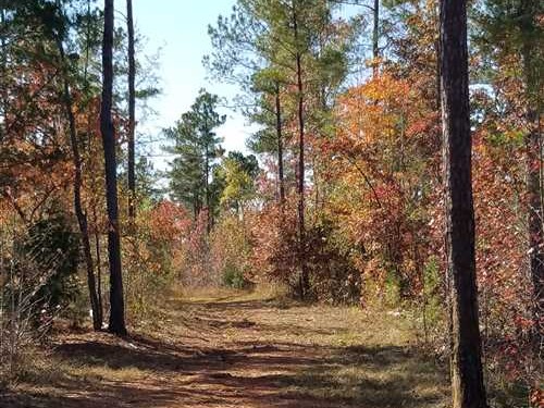 76.6 Acres of Land for Sale in york County South Carolina