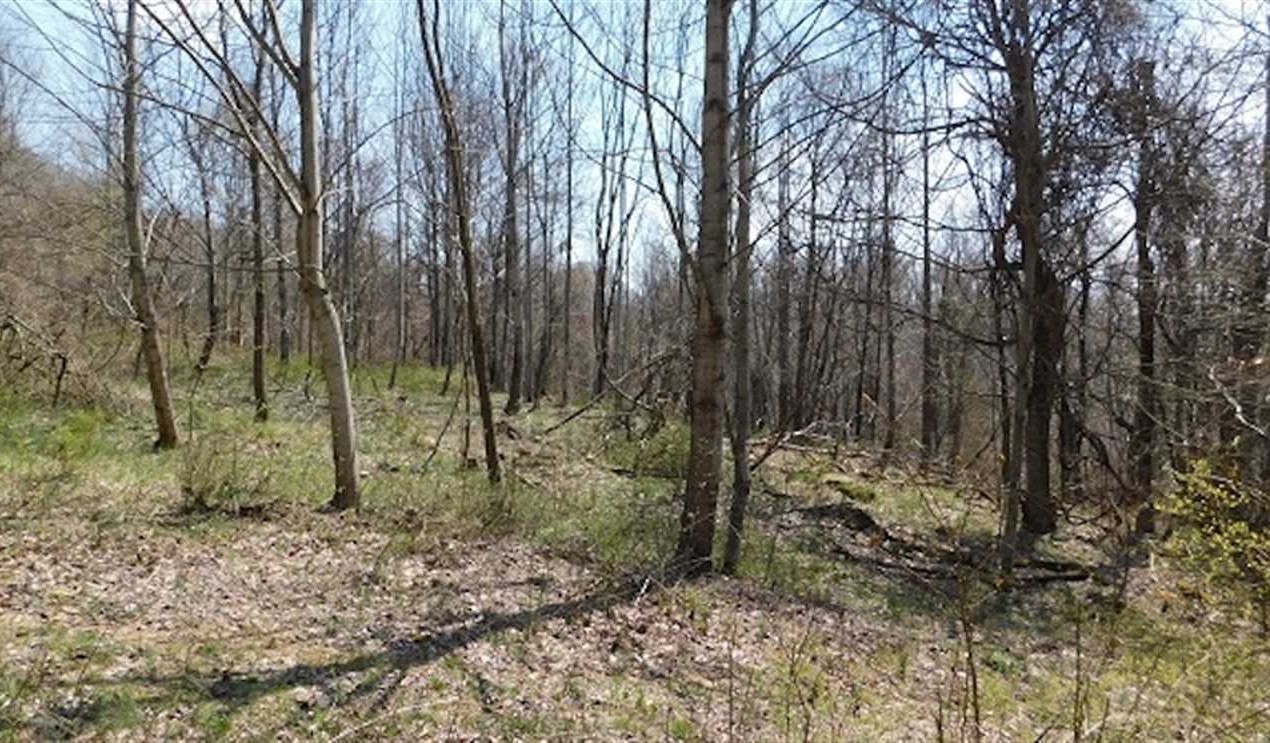 Lebanon land available for purchase