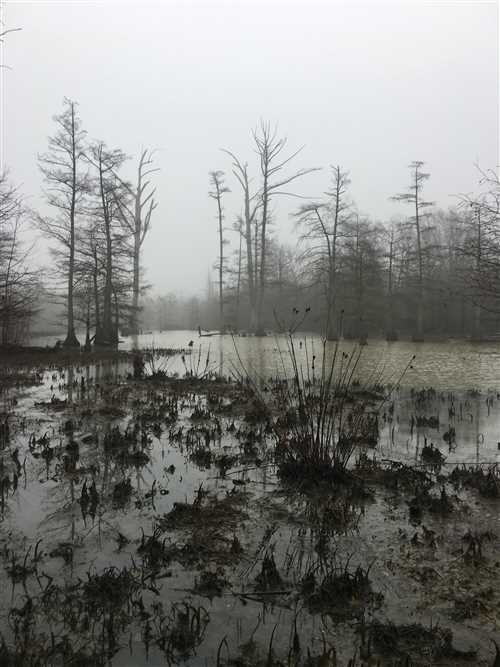 320 Acres of Recreational land for sale in Newport, jackson County, Arkansas