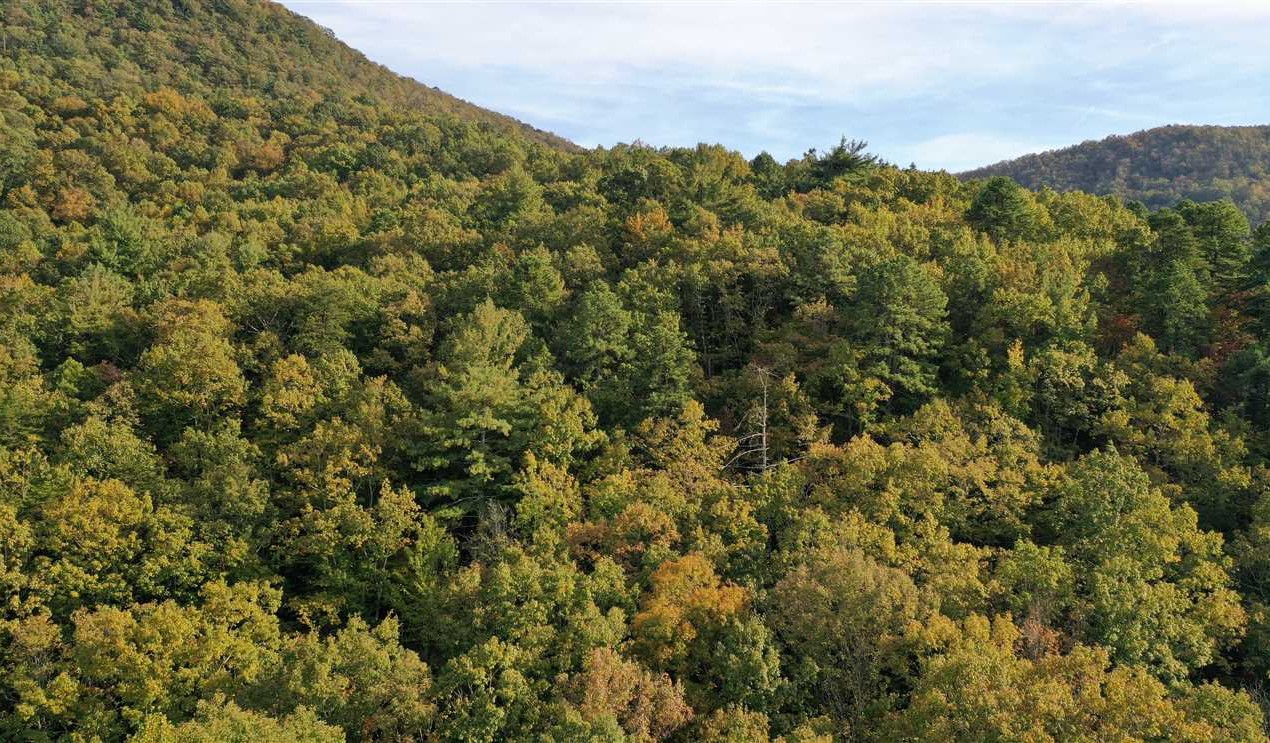 Land for sale at 0000 Roper Hollow Road