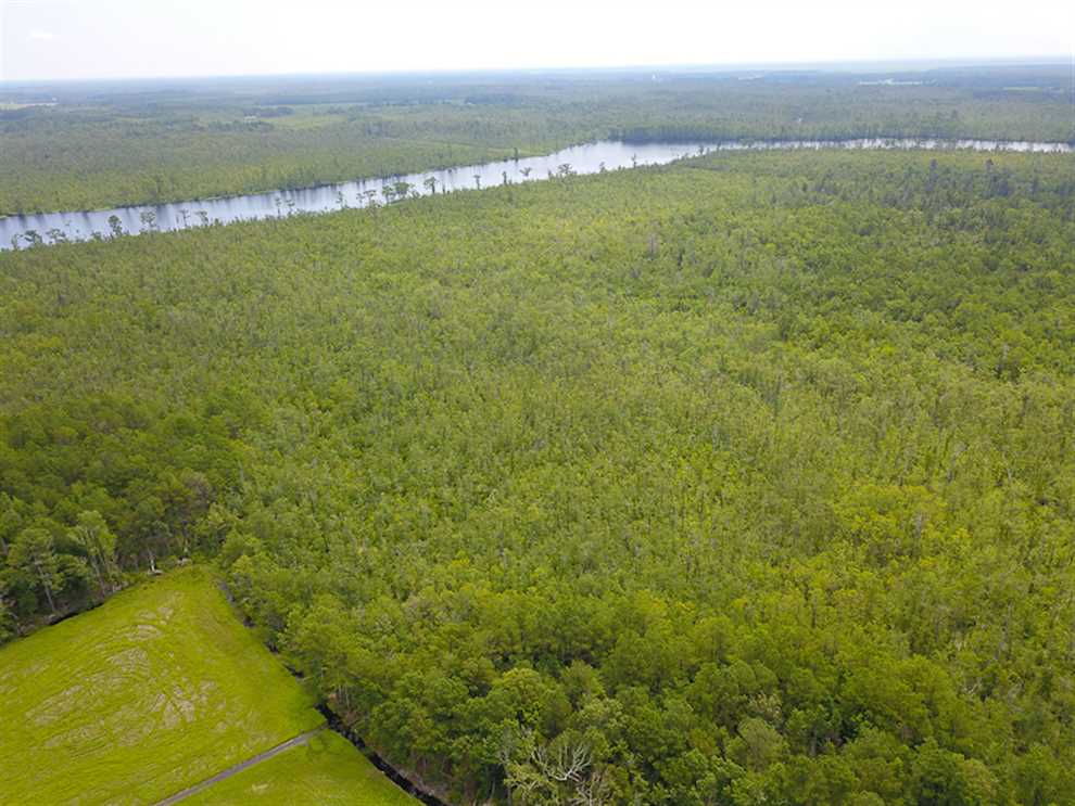 Land for sale to buy in 27925 zip code