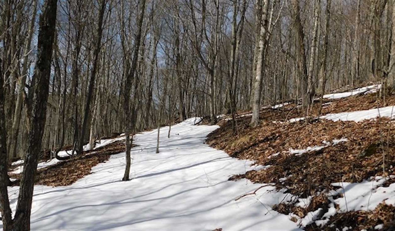 Whitetop land available for purchase