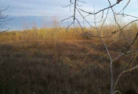 272 Acres of Land for Sale in vermillion County Indiana
