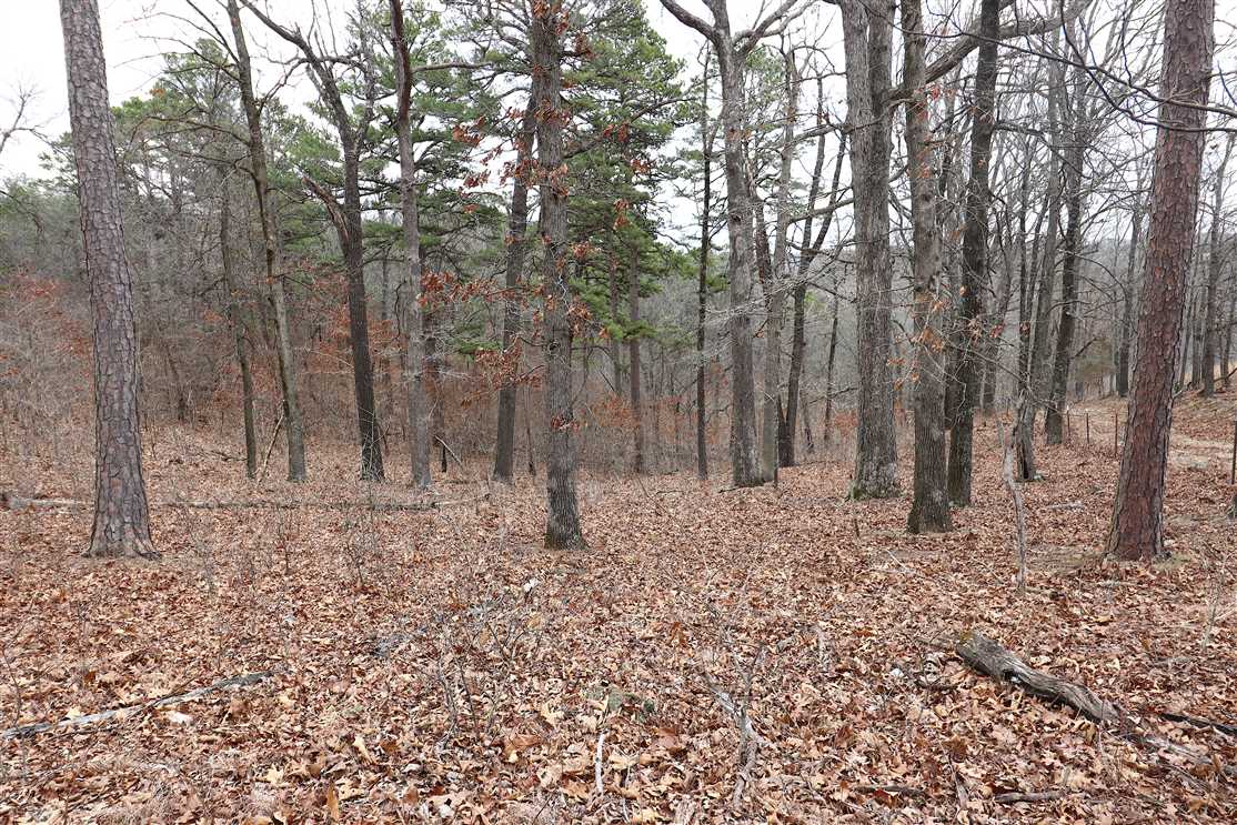 34.28 Acres of Recreational land for sale in Eureka Springs, carroll County, Arkansas
