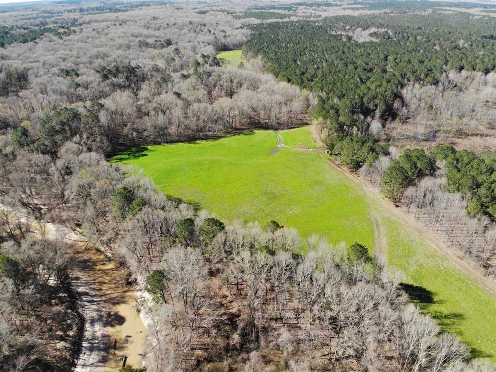 Timberland real estate available to buy