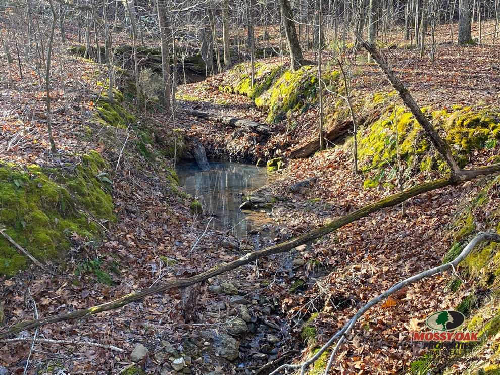 169 Acres of Recreational land for sale in New Concord, calloway County, Kentucky