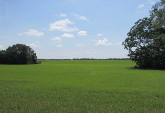 28.48 Acres of Land for Sale in grady County Georgia
