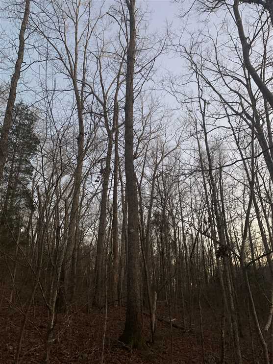 33 Acres of Residential land for sale in Thomasville, davidson County, North Carolina