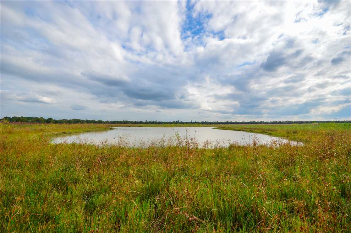 461.97 Acres of Recreational land for sale in Hamshire, jefferson County, Texas