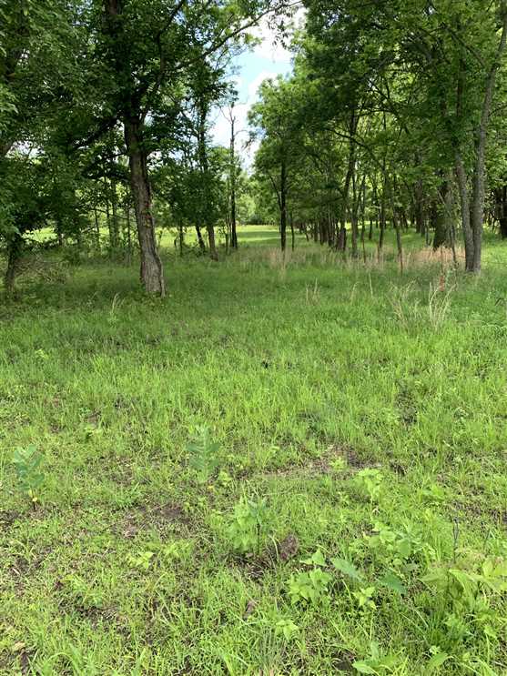 120 +/- Recreational or Home Building Plot in Southeast Kansas Real estate listing