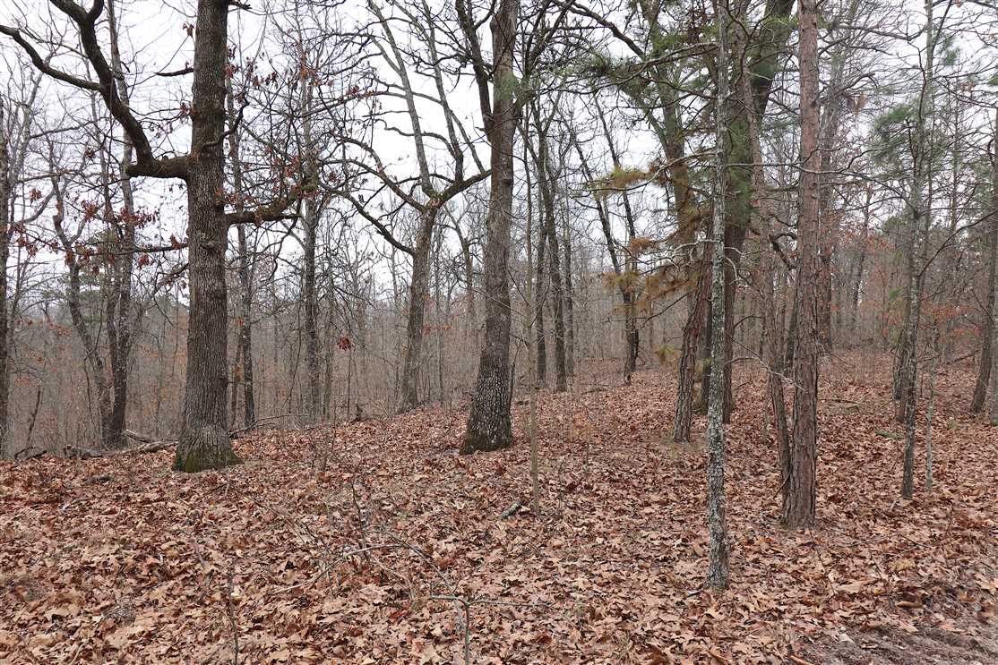 Land for sale at